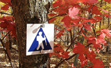 Trail blaze