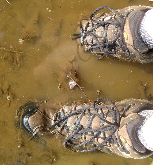 Picture of my waterproof hiking boots