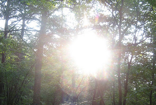 Hiking under the hot sun