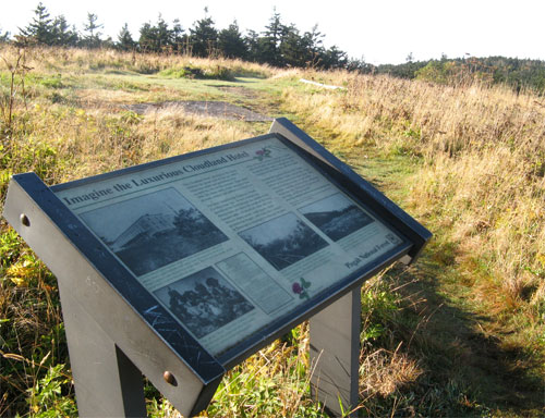 Cloudland Hotal site at Roan High Knob in Roan Highlands