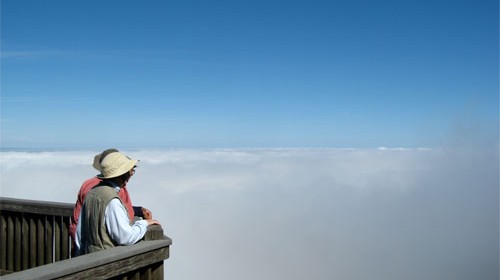 Roan High Bluff at Roan Mountain State Park in the Appalachian Range