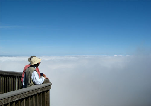 Roan High Bluff in the Roan Highlands in the Appalachian Range