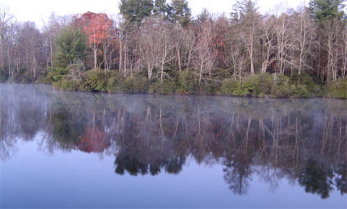 Julian Price Park lake shoreline