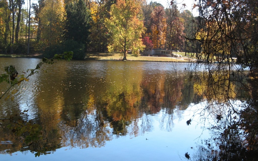 Another reflection shot