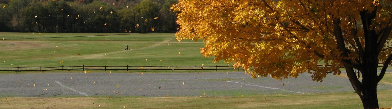 Leaves falling at Tanglewood Park